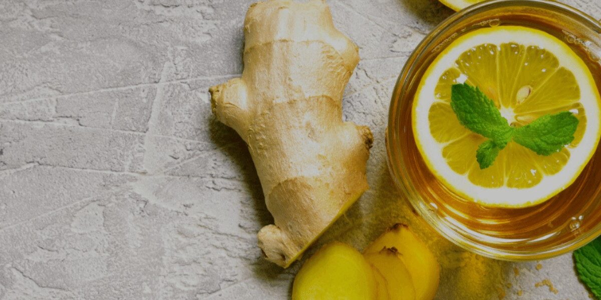 Teas for Digestion & Gut Health